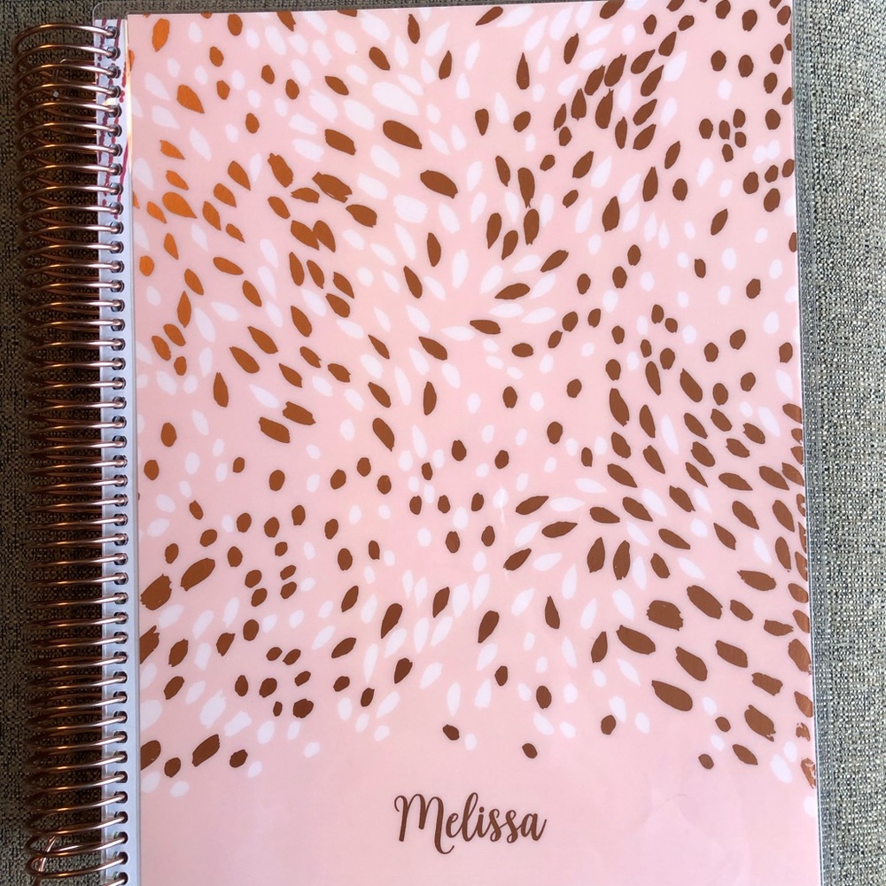 Erin Condren Delux Monthly Planner